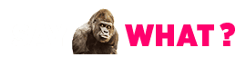 Innovative Web Solutions by Wehpa Modern web development and digital marketing services by Wehpa for business growth.